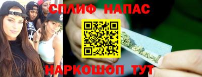 мдпв Партизанск