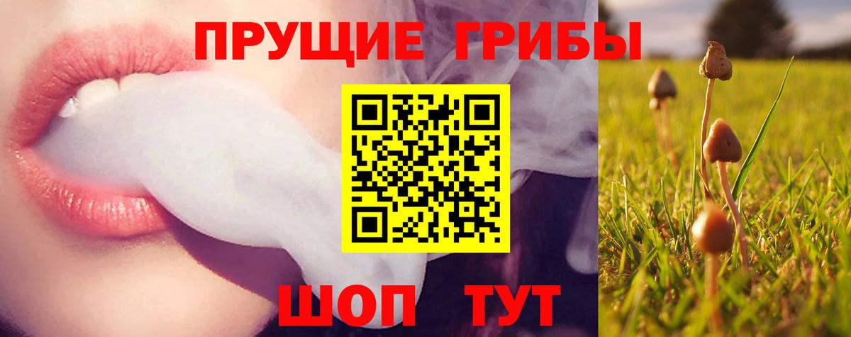 Галлюциногенные грибы мицелий  Вход с VPN  Севастополь 